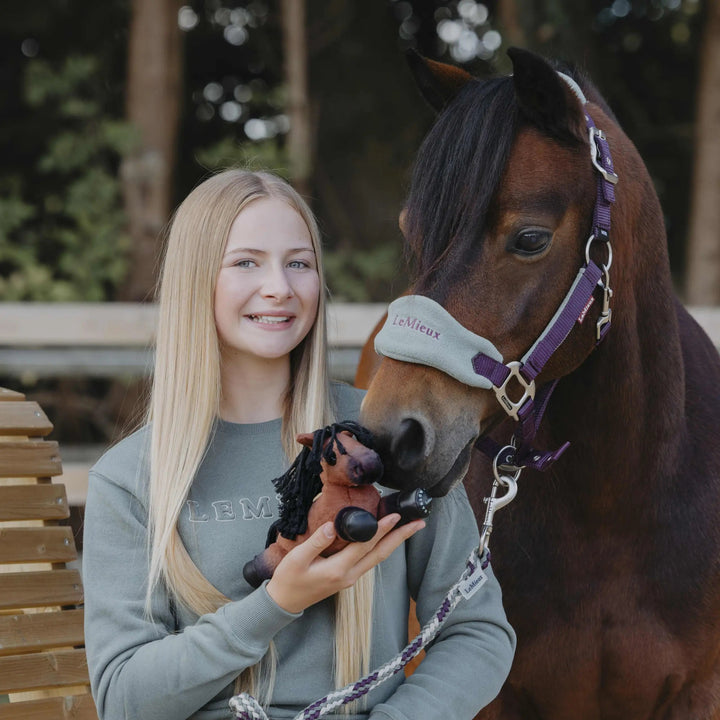 LeMieux Harlow Tiny Beanie Pony Rolo