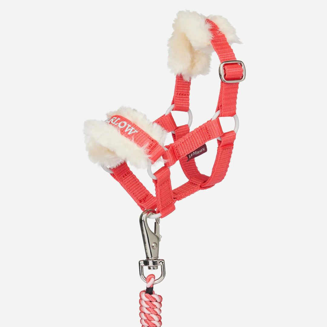 LeMieux Toy Pony Harlow Headcollar and Leadrope Coral Crush