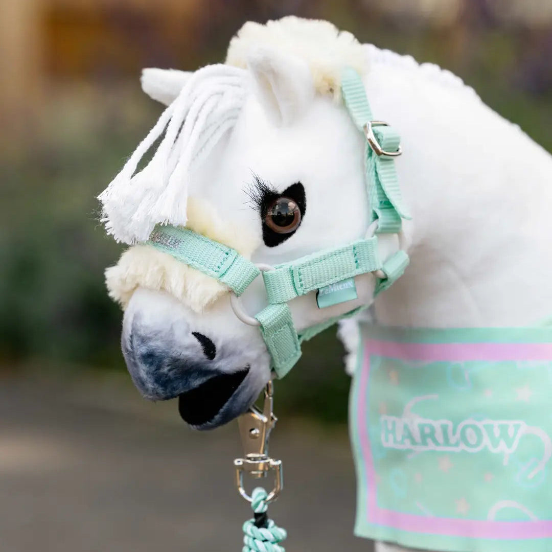 LeMieux Toy Pony Headcollar and Leadrope Soft Mint