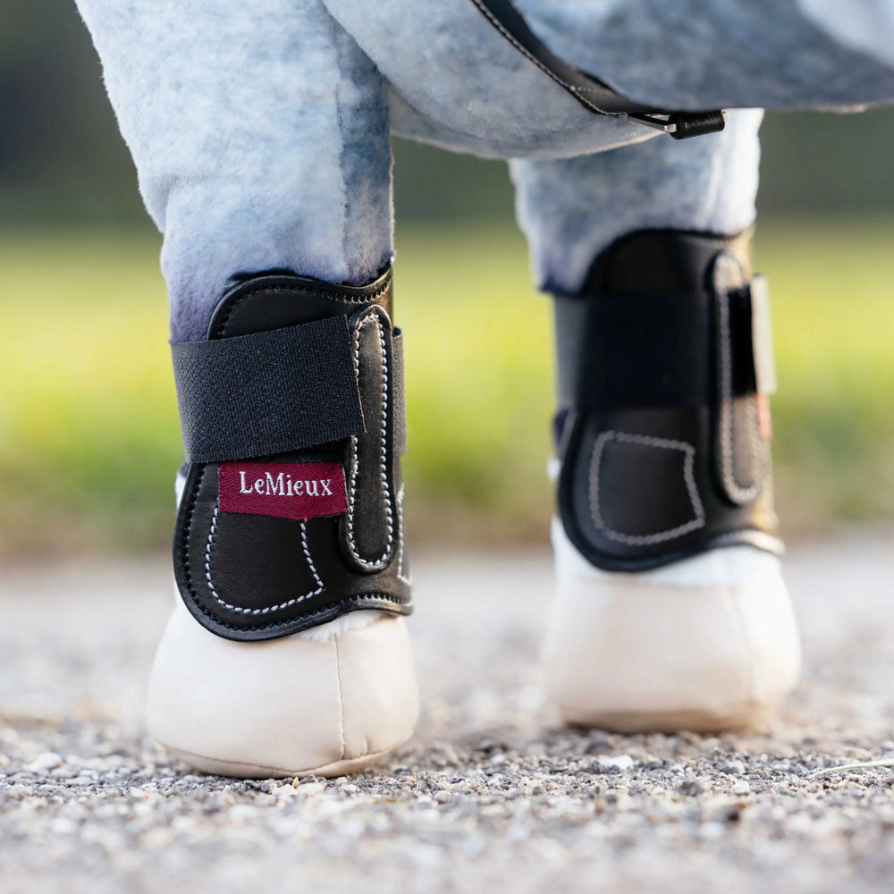 LeMieux Toy Pony Capalla Boots - The Glamorous Grub