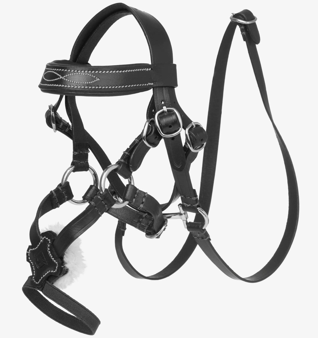 LeMieux Toy Pony Grackle Bridle Black - The Glamorous Grub