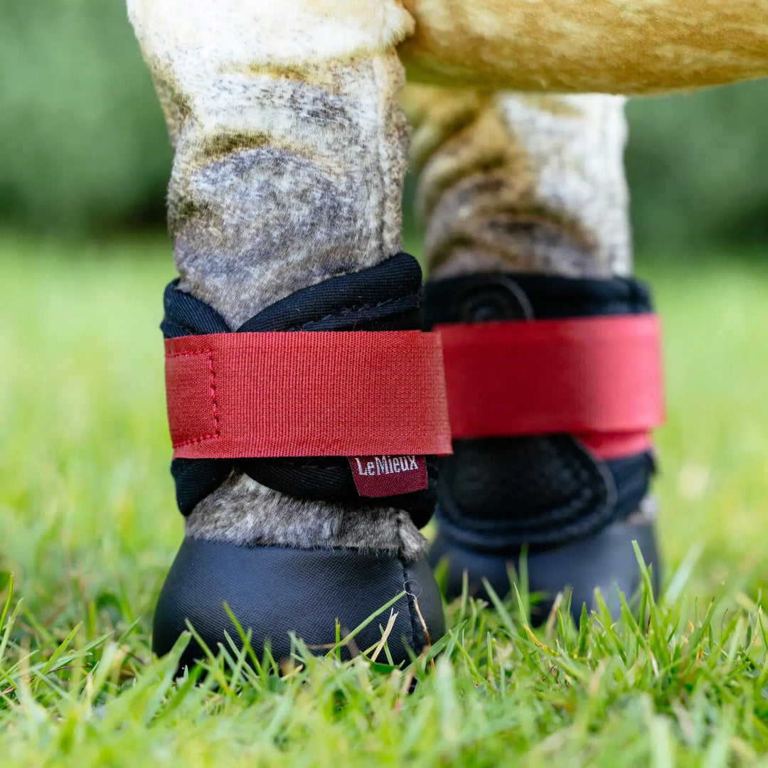 LeMieux Toy Pony Grafter Boots Chilli - The Glamorous Grub
