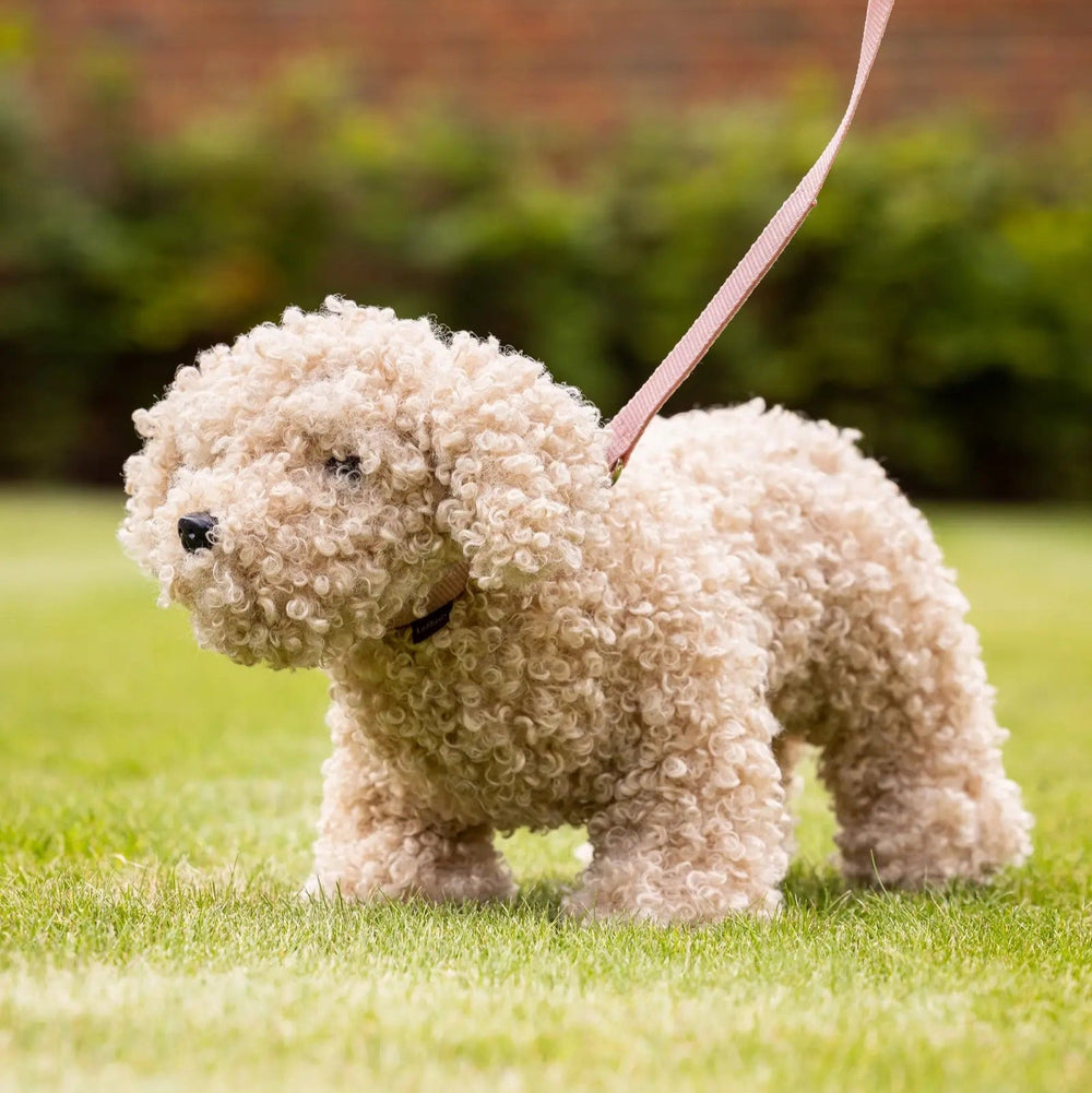 LeMieux Toy Puppy Chester - The Glamorous Grub
