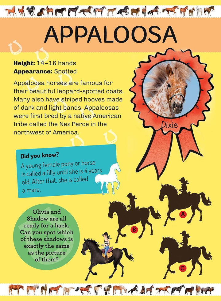 My Poster Book - Horses & Ponies - The Glamorous Grub