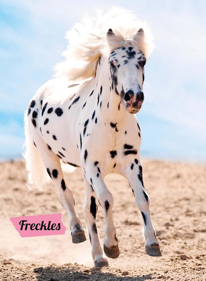 My Poster Book - Horses & Ponies - The Glamorous Grub