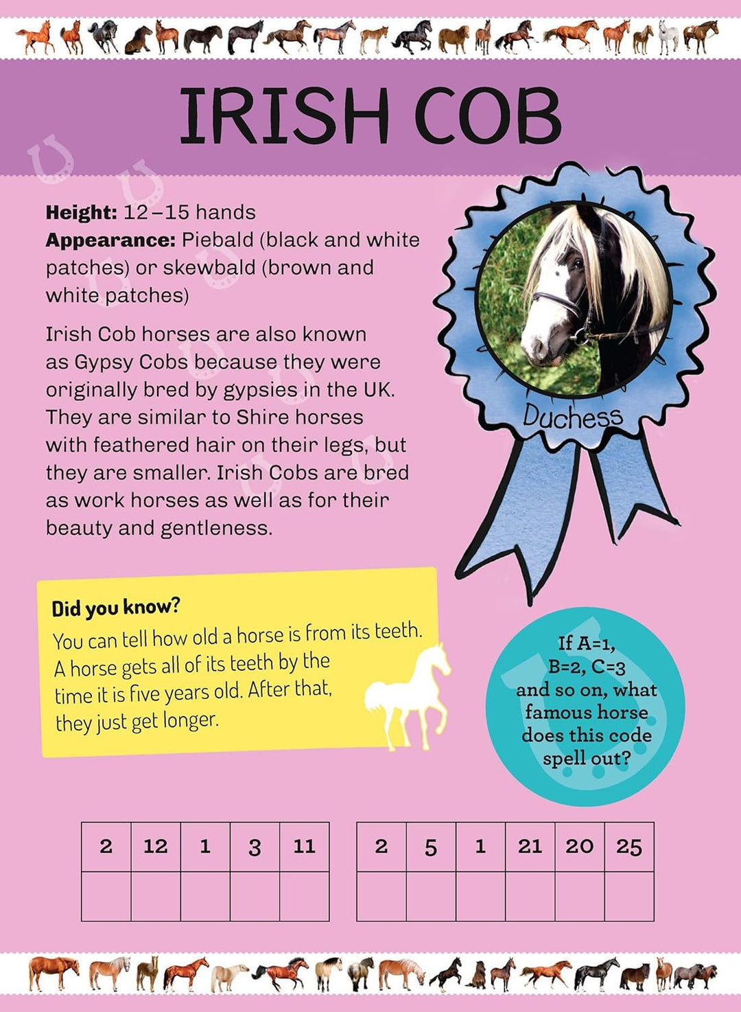 My Poster Book - Horses & Ponies - The Glamorous Grub