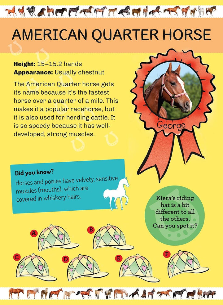 My Poster Book - Horses & Ponies - The Glamorous Grub