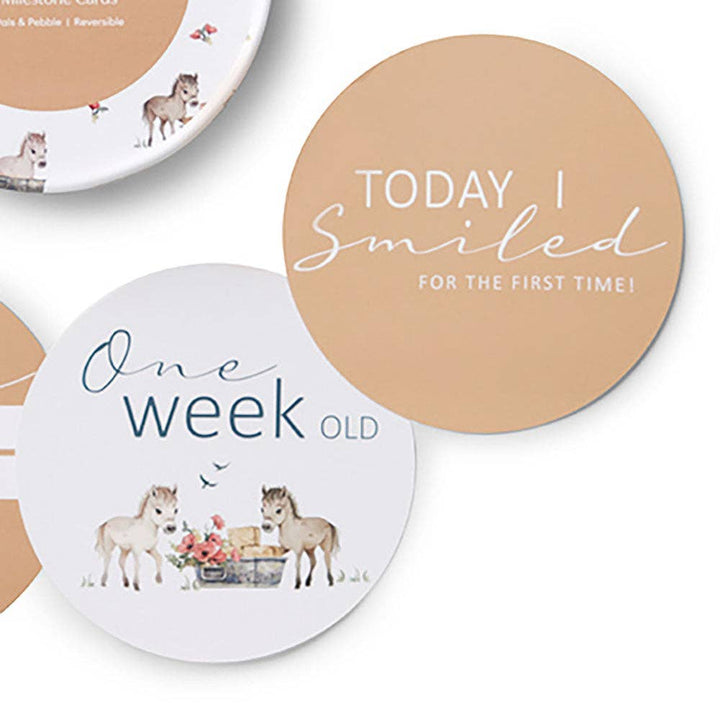 Pony Pals & Pebble Reversible Milestone Cards - The Glamorous Grub