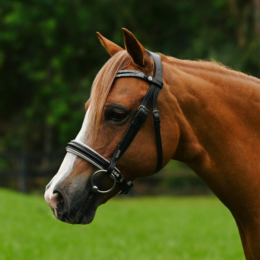 Princess bridle (Lumi Pony) - The Glamorous Grub