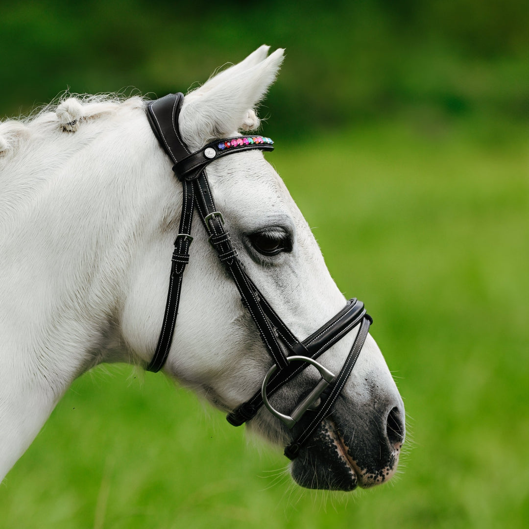 Rainbow bridle (convertible) (Lumi Pony) - The Glamorous Grub