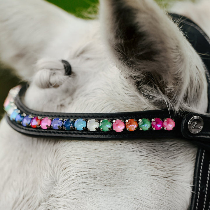 Rainbow bridle (convertible) (Lumi Pony) - The Glamorous Grub