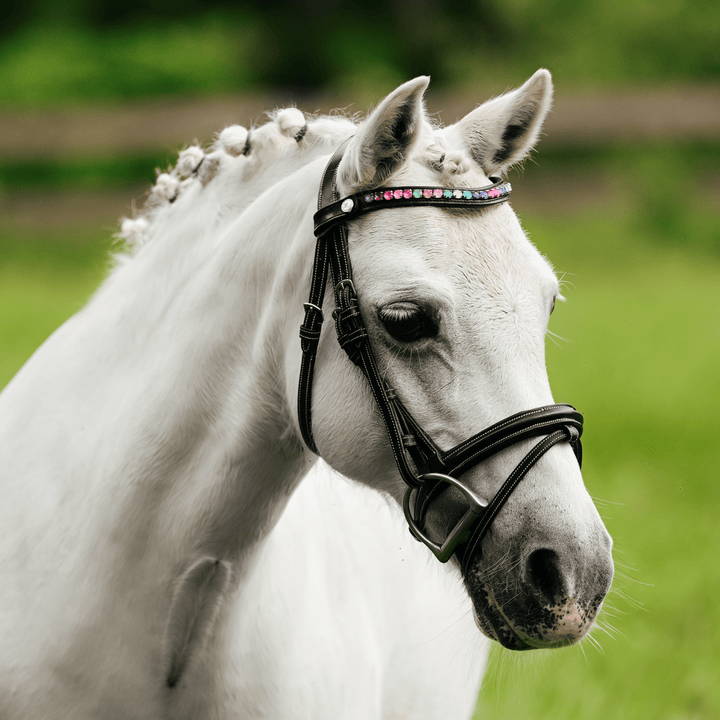 Rainbow bridle (convertible) (Lumi Pony) - The Glamorous Grub