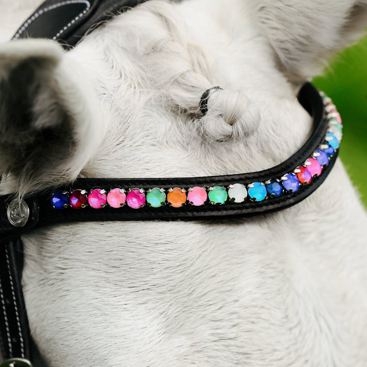 Rainbow bridle (convertible) (Lumi Pony) - The Glamorous Grub