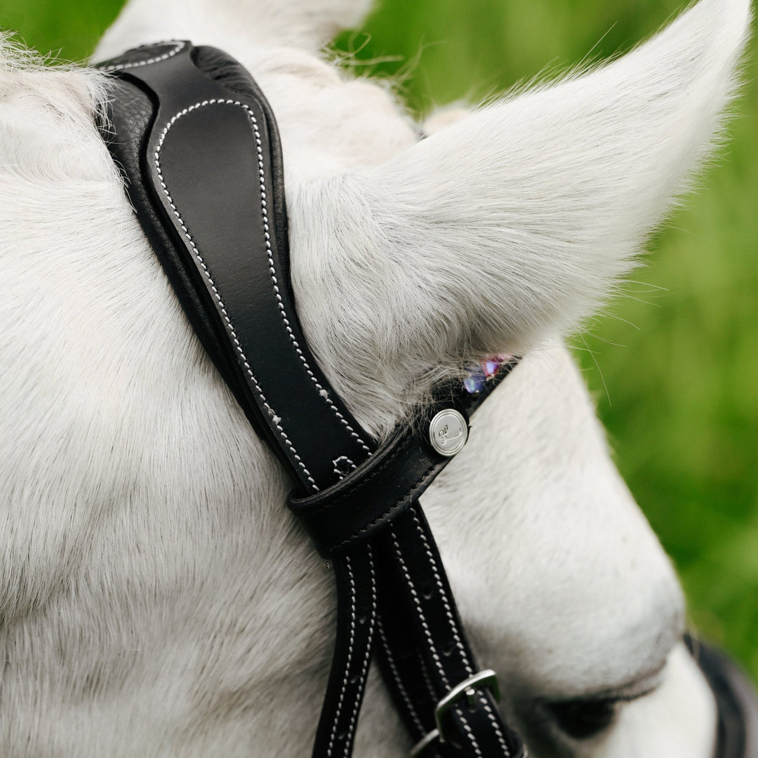 Rainbow bridle (convertible) (Lumi Pony) - The Glamorous Grub