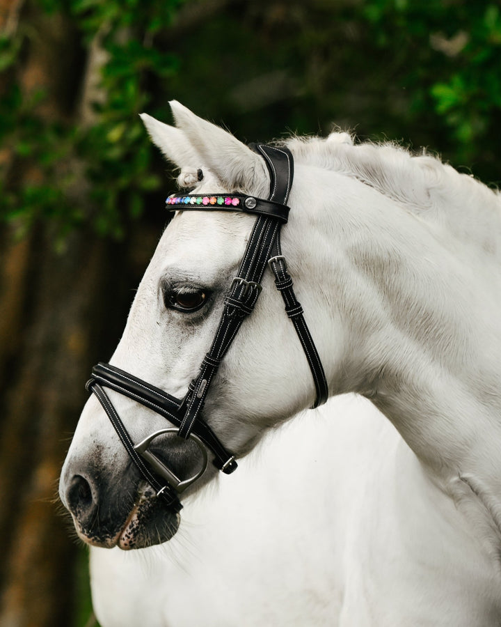 Rainbow bridle (convertible) (Lumi Pony) - The Glamorous Grub