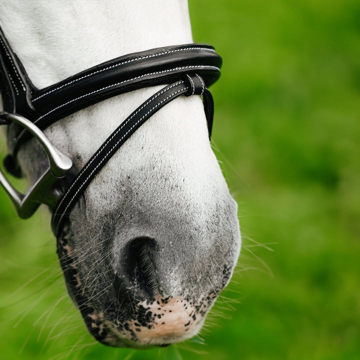 Rainbow bridle (convertible) (Lumi Pony) - The Glamorous Grub
