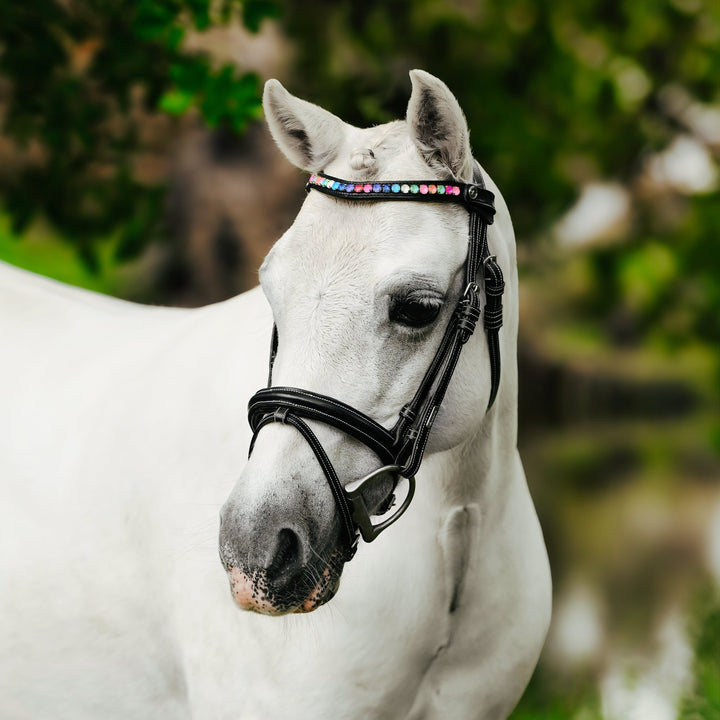 Rainbow bridle (convertible) (Lumi Pony) - The Glamorous Grub