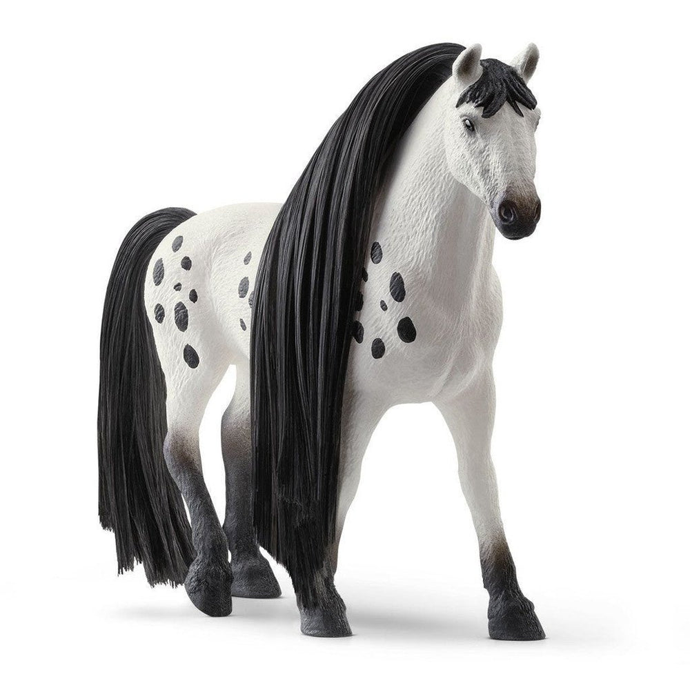 Schleich - Beauty Horse Knabstrupper Stallion - The Glamorous Grub