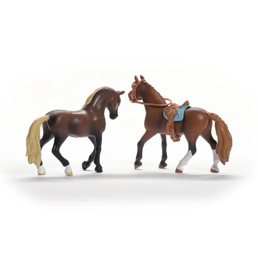 Schleich - Horse Club Paso "Peruano” Starter Set - NEW - The Glamorous Grub