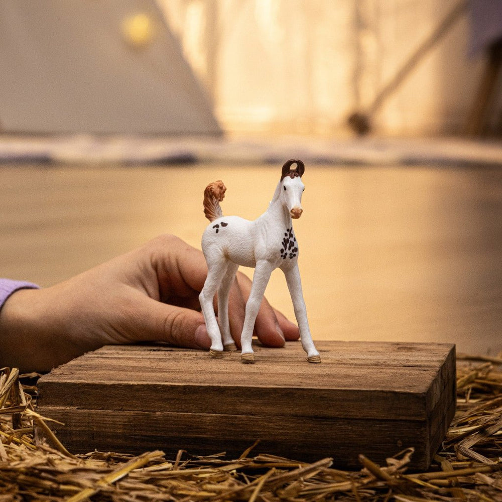 Schleich - Marwari Foal - The Glamorous Grub