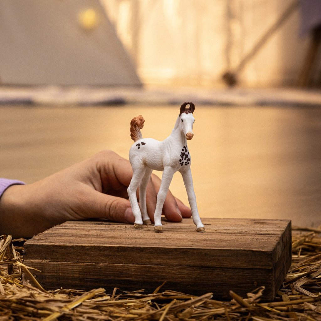 Schleich - Marwari Foal - The Glamorous Grub