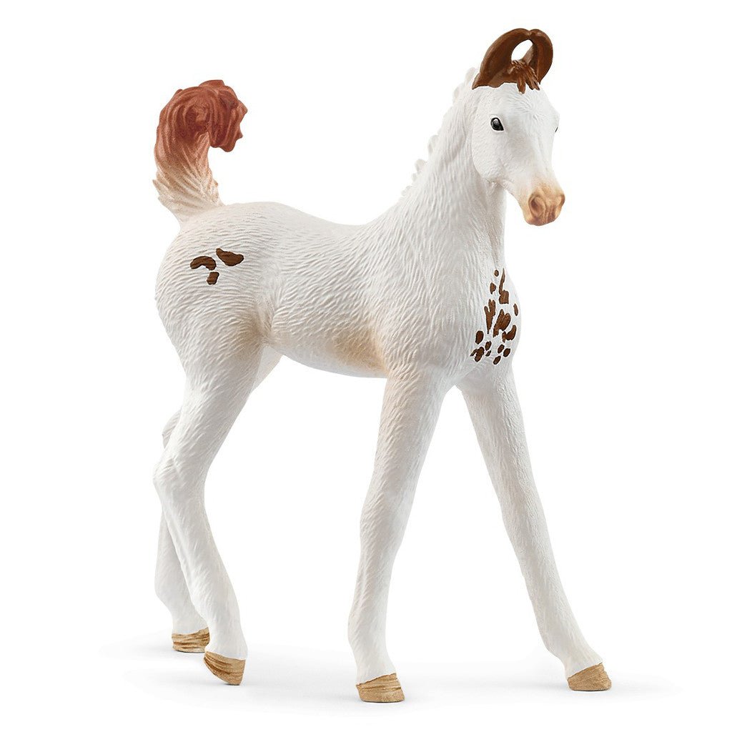 Schleich - Marwari Foal - The Glamorous Grub