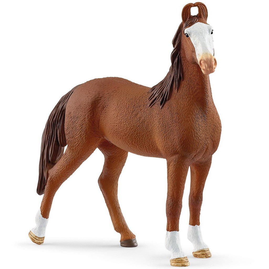 Schleich - Marwari Mare - The Glamorous Grub