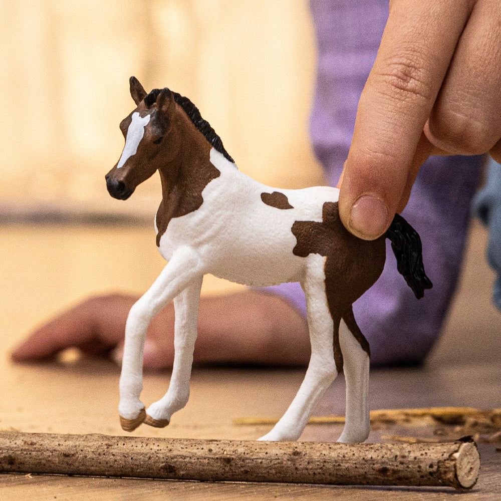 Schleich - Paint Horse Foal 2025 Release - The Glamorous Grub