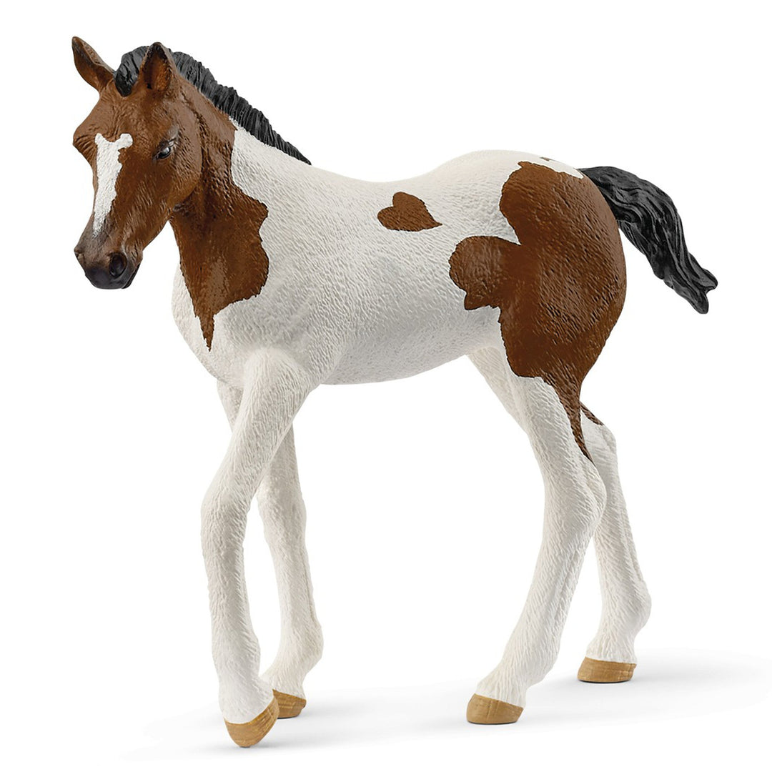 Schleich - Paint Horse Foal 2025 Release - The Glamorous Grub