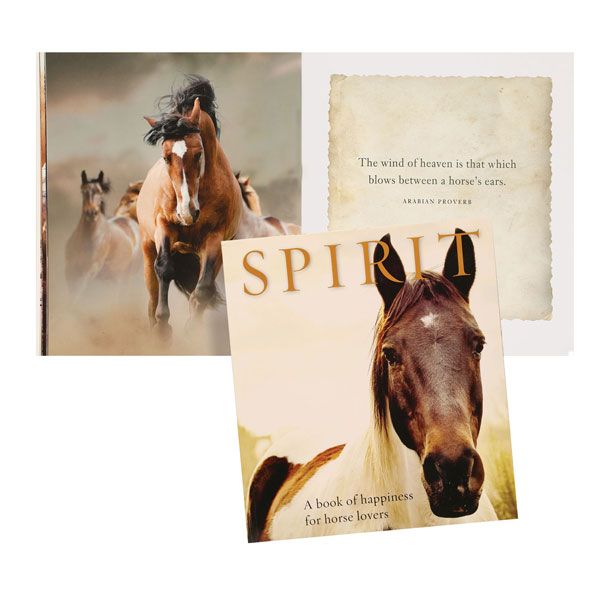SPIRIT - The Glamorous Grub