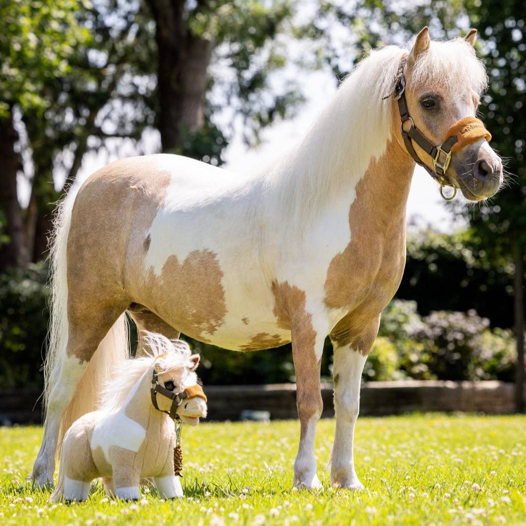 Toy Pony Lemon - The Glamorous Grub