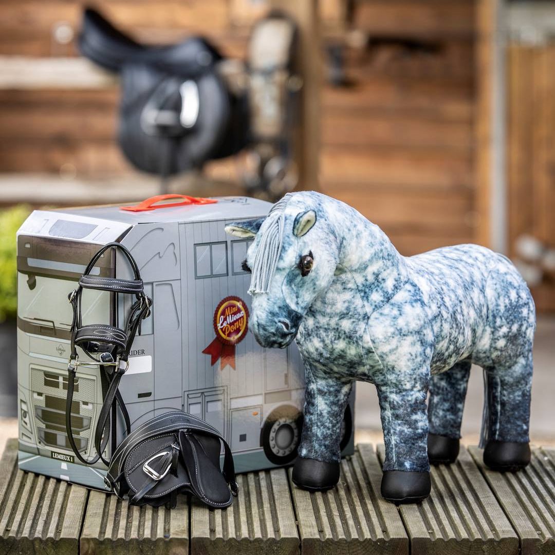 Toy Pony Sammy - The Glamorous Grub