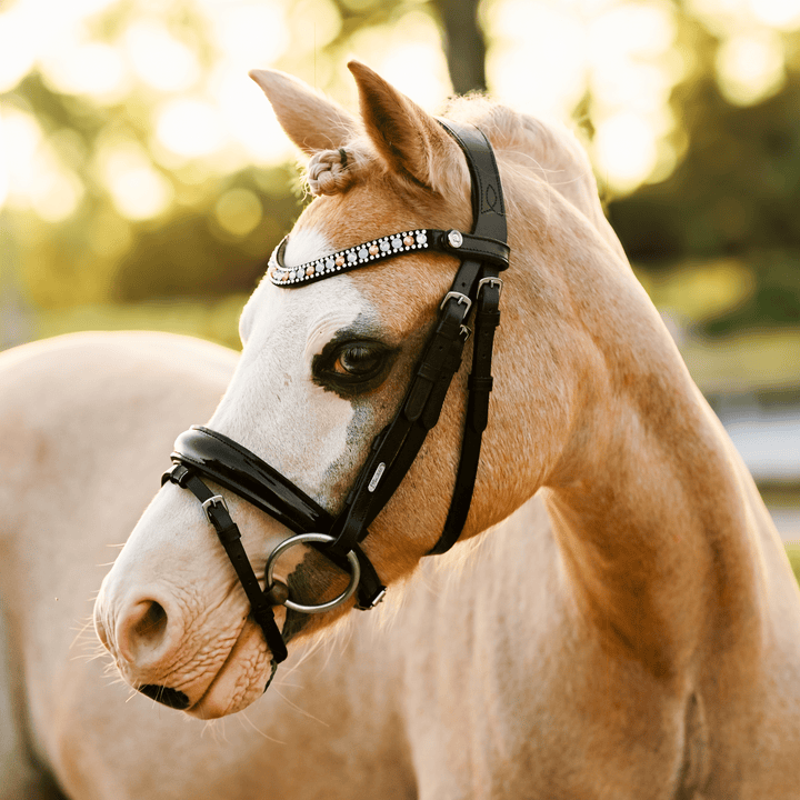 Unicorn bridle (Lumi Pony) - The Glamorous Grub