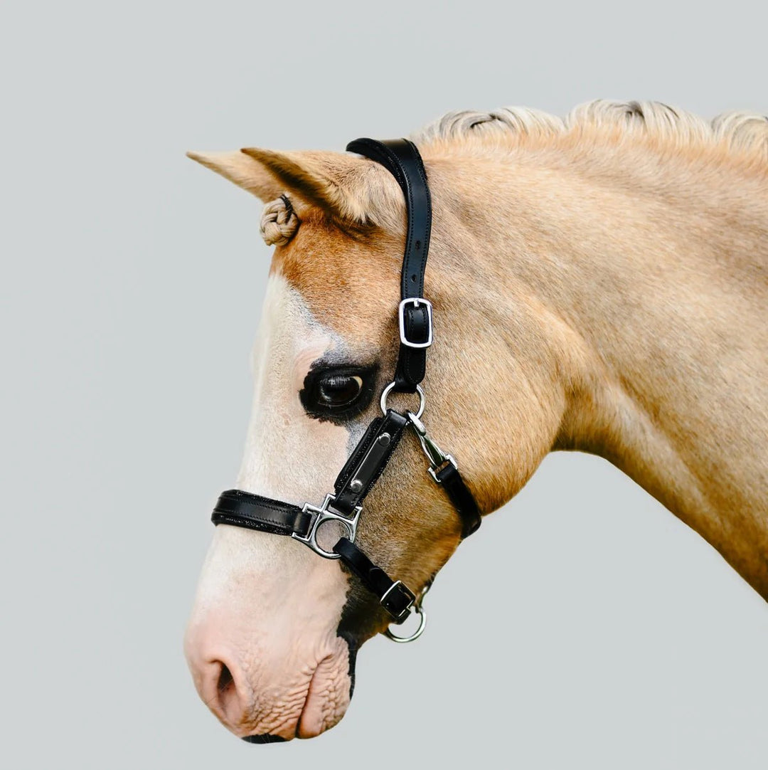 Vegas' glitter leather halter - Lumi Pony - The Glamorous Grub