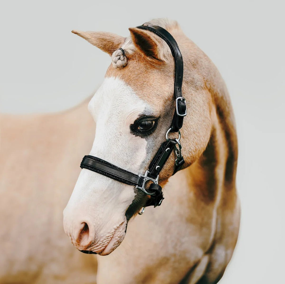 Vegas' glitter leather halter - Lumi Pony - The Glamorous Grub